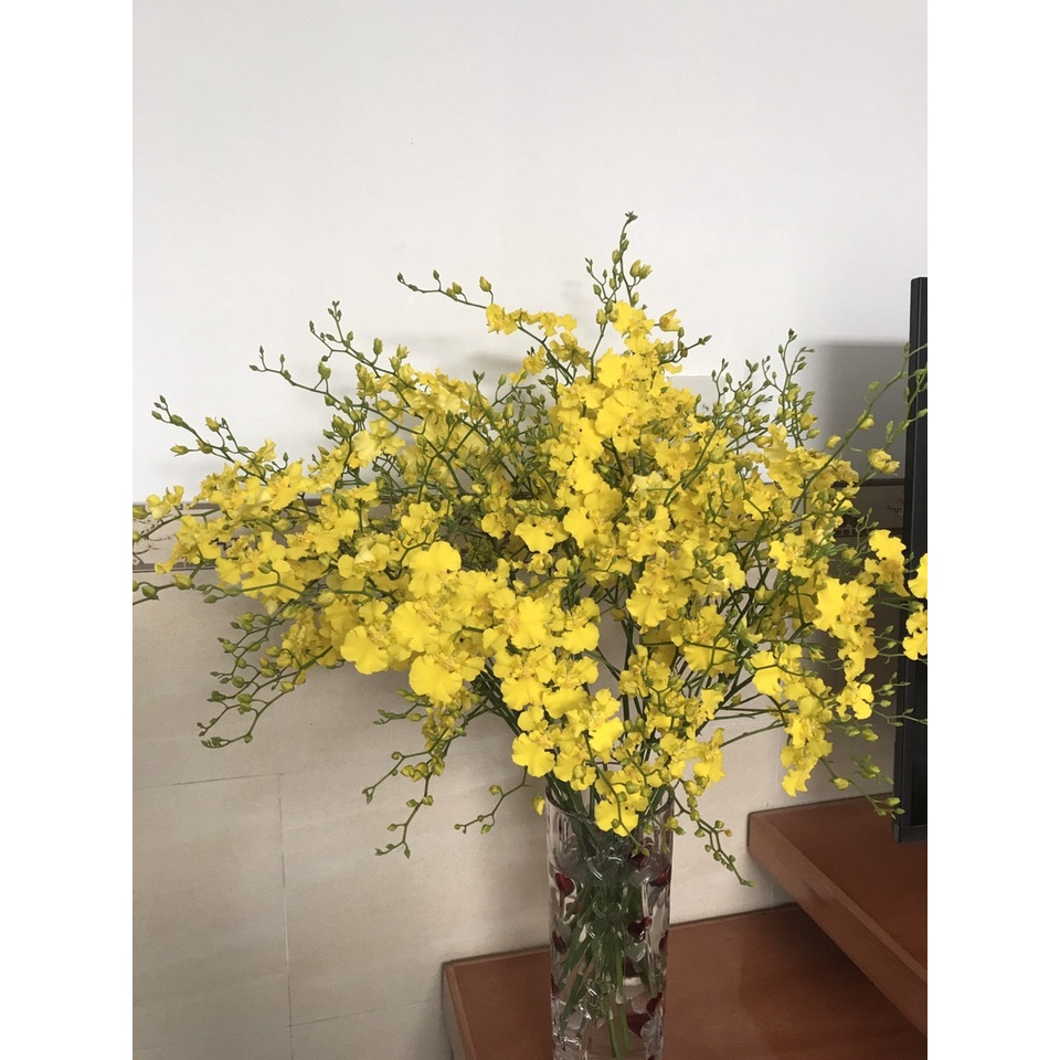 Lan vũ nữ 3 váy nụ lùm