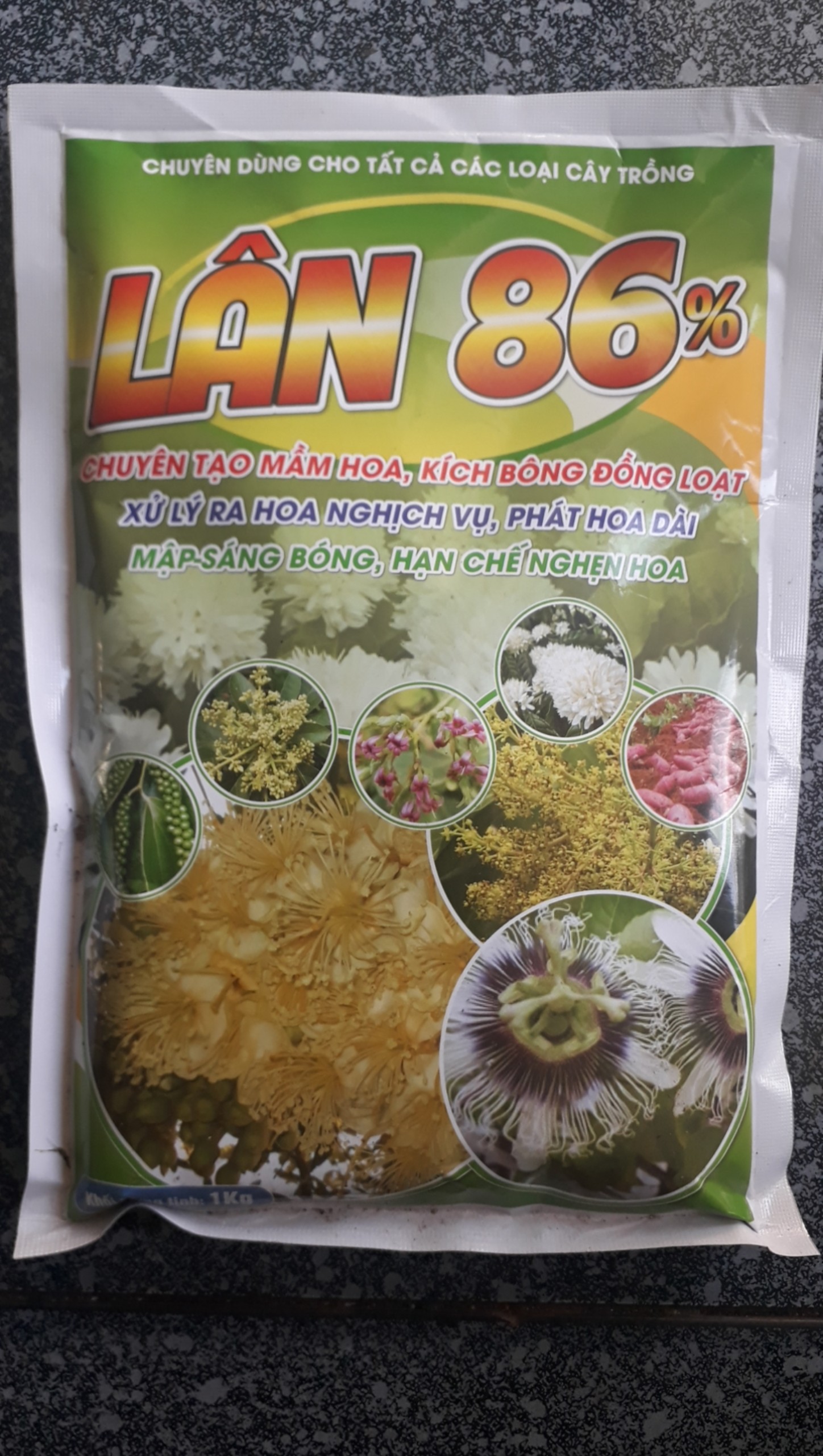 Lân 86