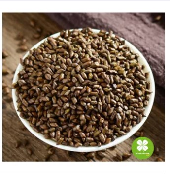 Thảo quyết minh (hạt muồng muồng) gói 1kg - DTX130