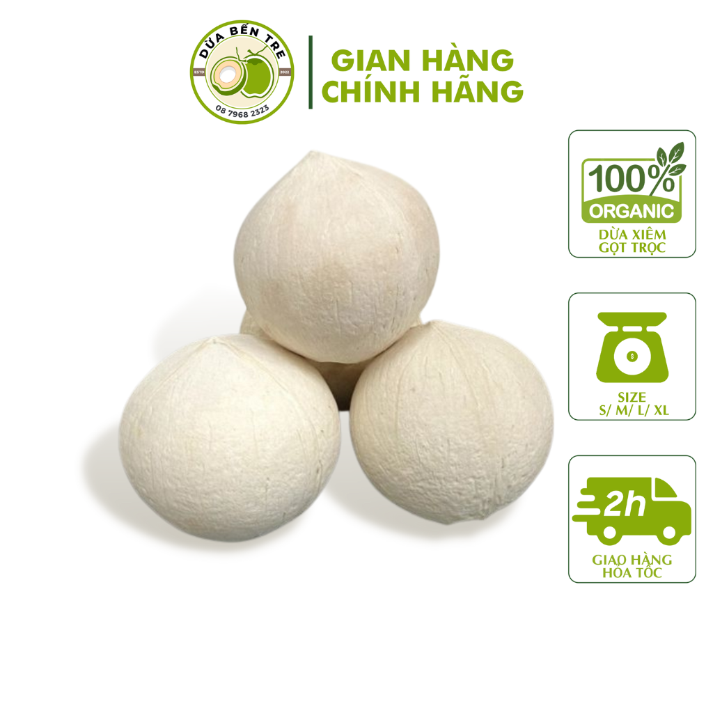 [HCM - HỎA TỐC] COMBO 20 TRÁI DỪA BẾN TRE GỌT TRỌC