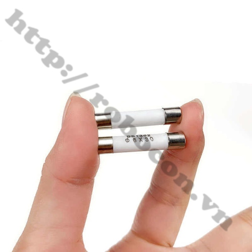 5 CẦU CHÌ ỐNG SỨ 30A 500V 6X30MM