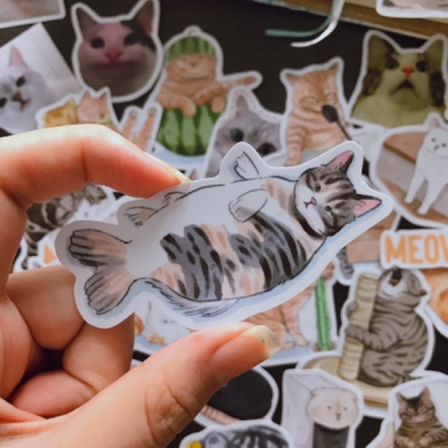 (Quà tặng không bán) 1 nhán dán Sticker chó mèo dễ thương hài hước