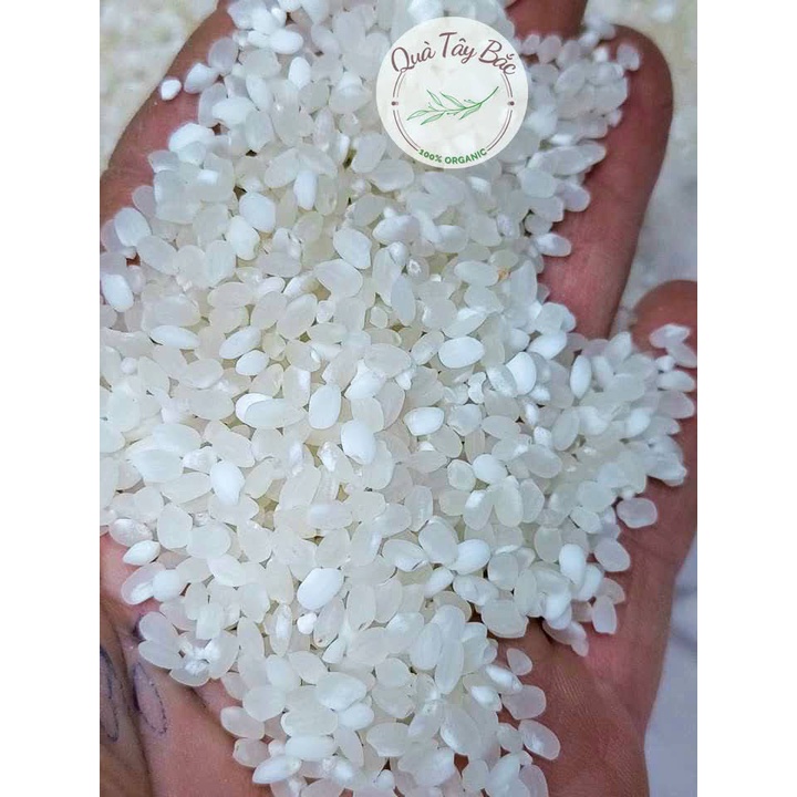 Gạo nếp Tú Lệ (bao chuẩn) đặc sản Tây bắc