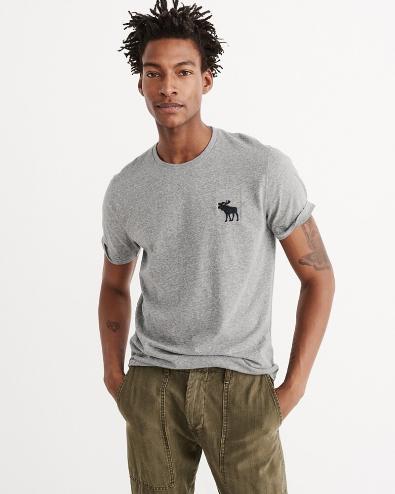 Pullover men Abercrombie & Fitch abr-tc284 big icon crew tee Heather Gray