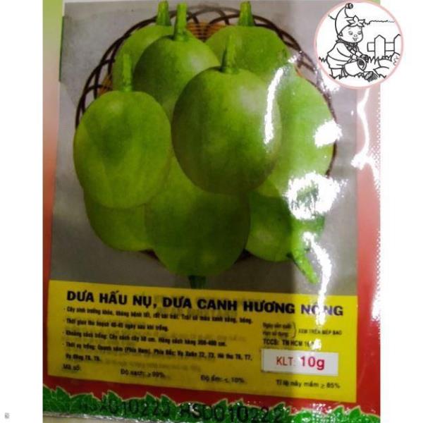 HẠT DƯA HẤU NỤ, DƯA CANH - GÓI 5 GRAM