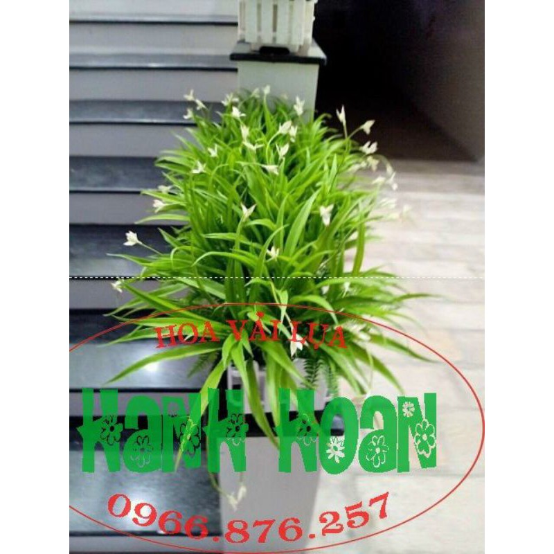 Cụm lá dứa hoa - Hoa giả