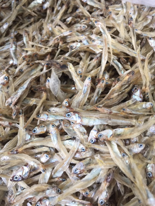 [ COMBO 2 GÓI 500 gram ] - CÁ CƠM KHÔ ĐÀ NẴNG