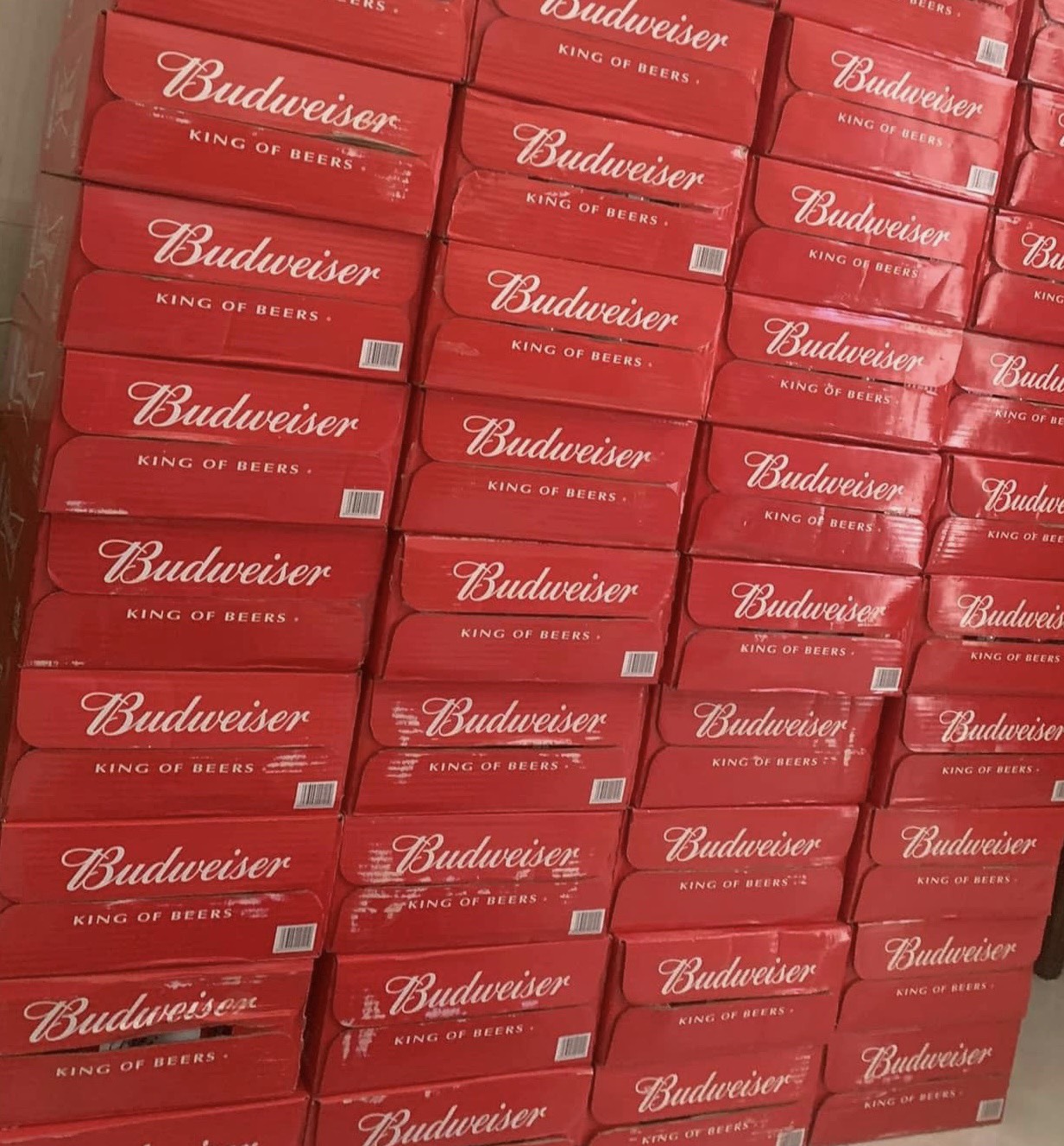 Thùng 12 lon bia budweiser 330ml