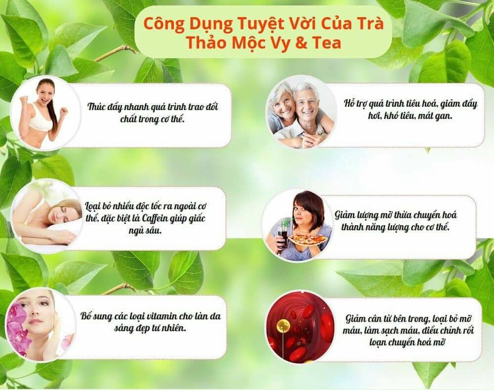 trà thảo dược vy &tea