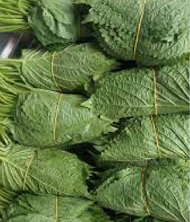 Hạt giống rau thơm mè HÀN QUỐC - Gói 0.5gram