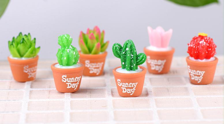 Mô hình chậu sen đá và xương rồng trang trí tiểu cảnh thủy sinh terrarium chậu cây cảnh sen đá bánh kem
