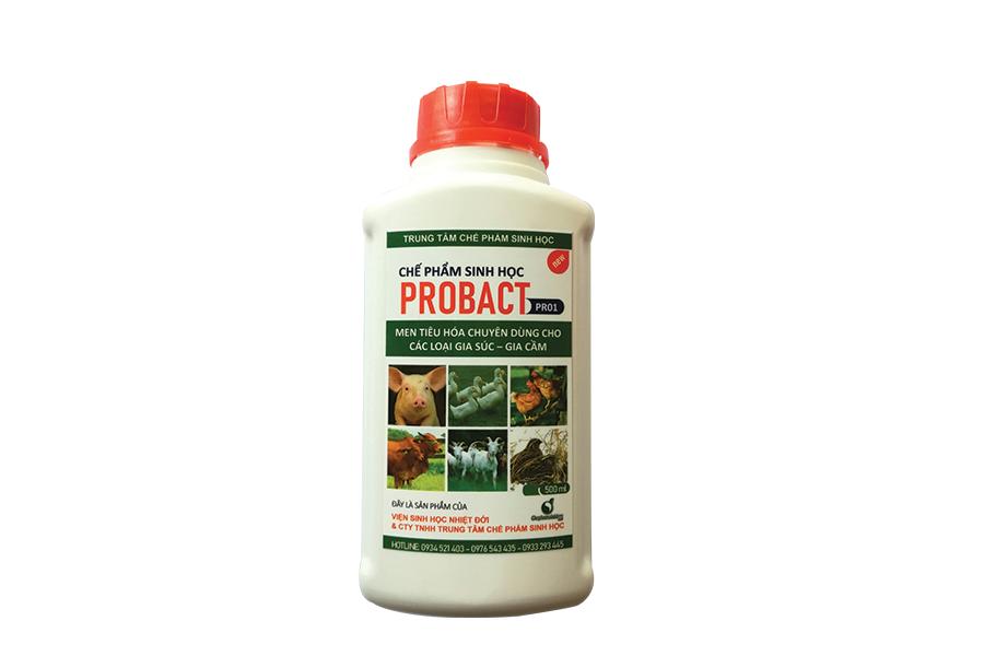 Men tiêu hóa  PROBACT cho gia cầm, gia súc