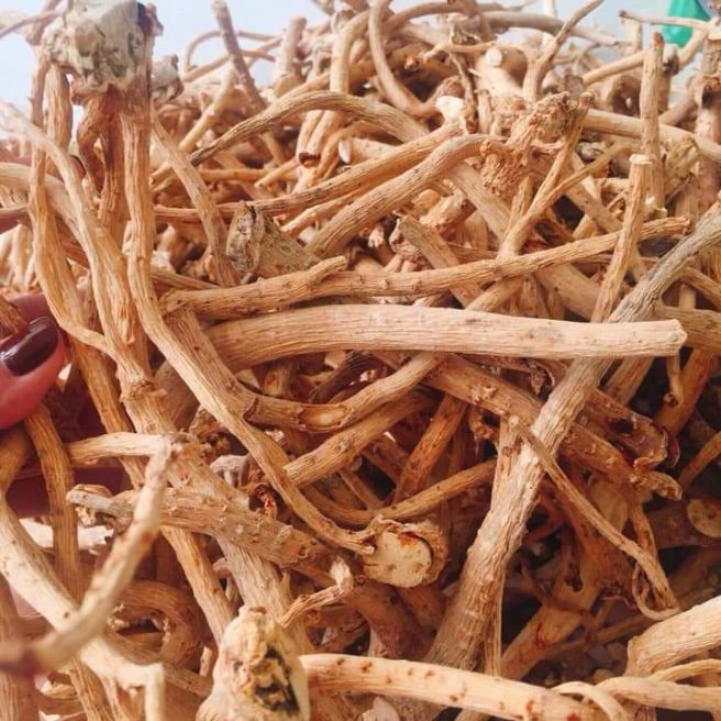 2kg rễ đinh lăng khô