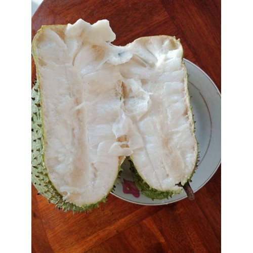 cây giống mãng cầu xiêm không hạt