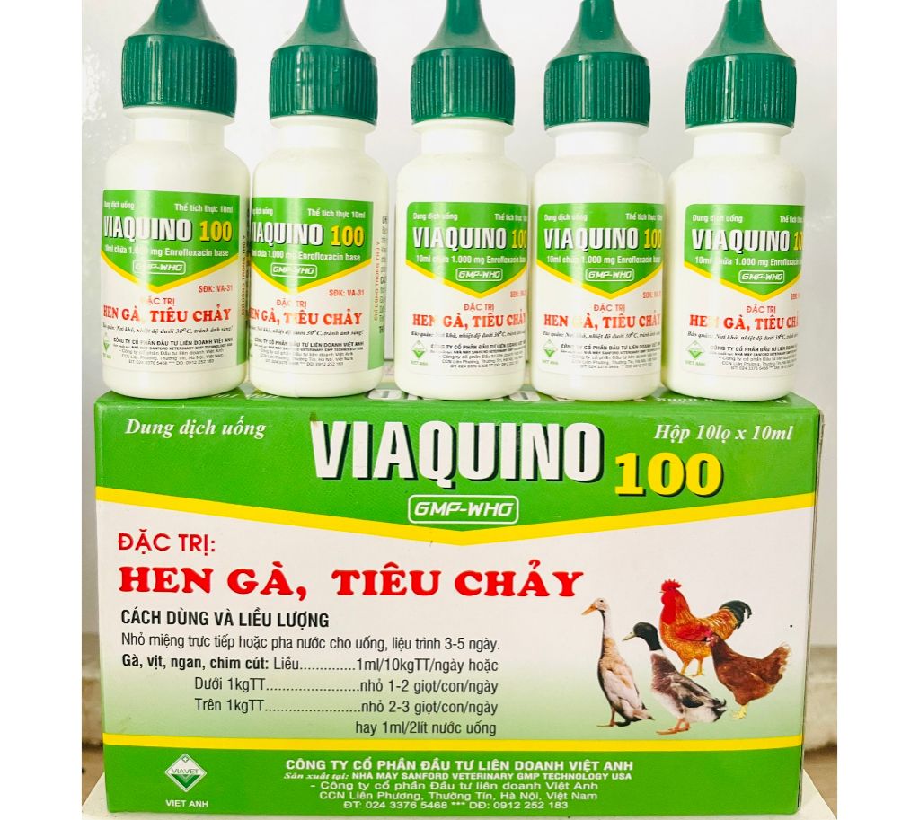 Viaquino(10ml) Hen ga, tiêu chảy phân xanh, phân trắng cho gà