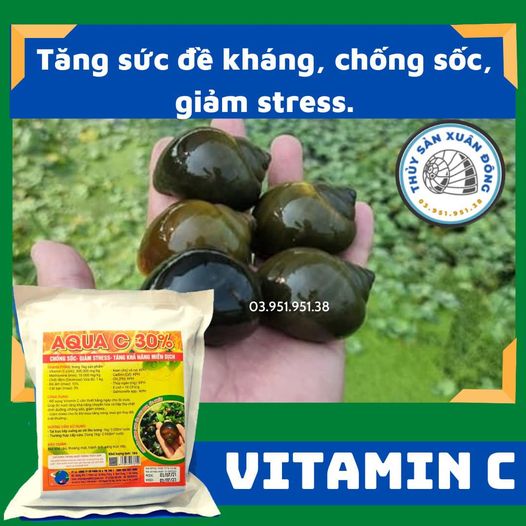 VitaminC chống sốc, giảm stress cho Ốc, Ếch, Tôm, Cá
