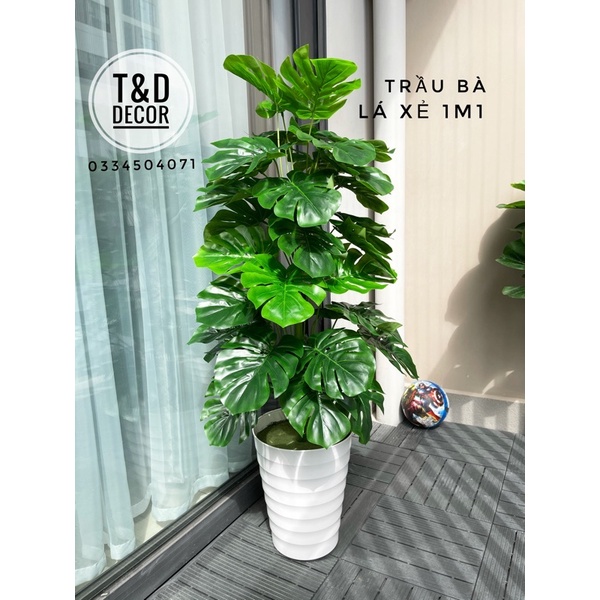 [Mã SKAMLSC228 giảm 10% đơn 100K] Cây giả cây trầu bà lá xẻ decor