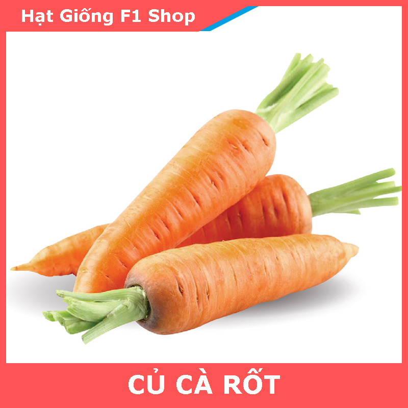 Hạt Giống Củ Cà Rốt Dễ Trồng