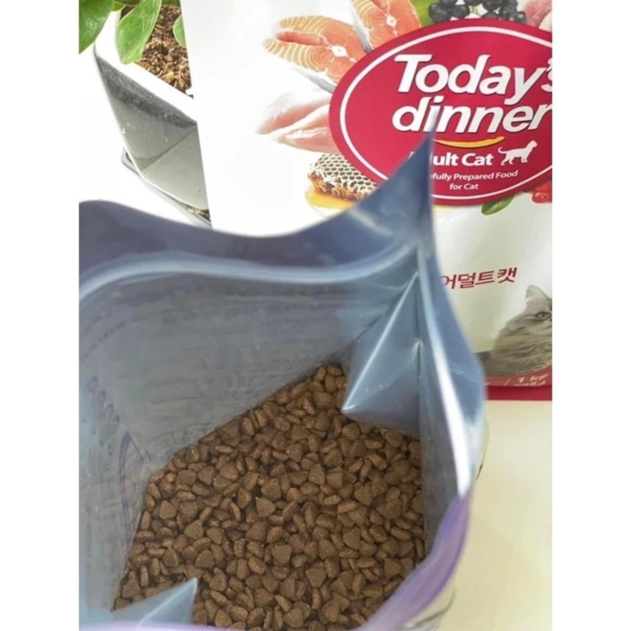 Thức ăn hạt Cho Mèo Mọi Lứa Tuổi Today's Dinner 1KG