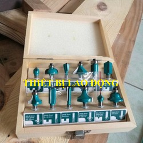 Bộ 12 mũi phay gỗ 1/4" (6.3mm)  Total TACSR0104121