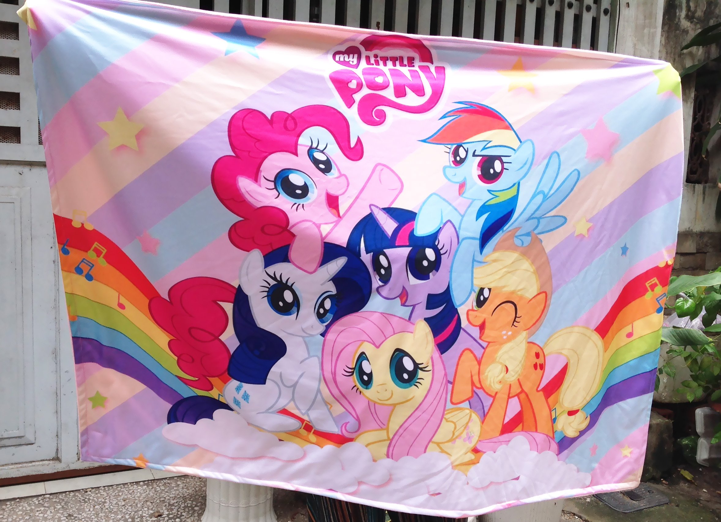 Vỏ gối và chăn Pony sắc màu (bán lẻ từng món)