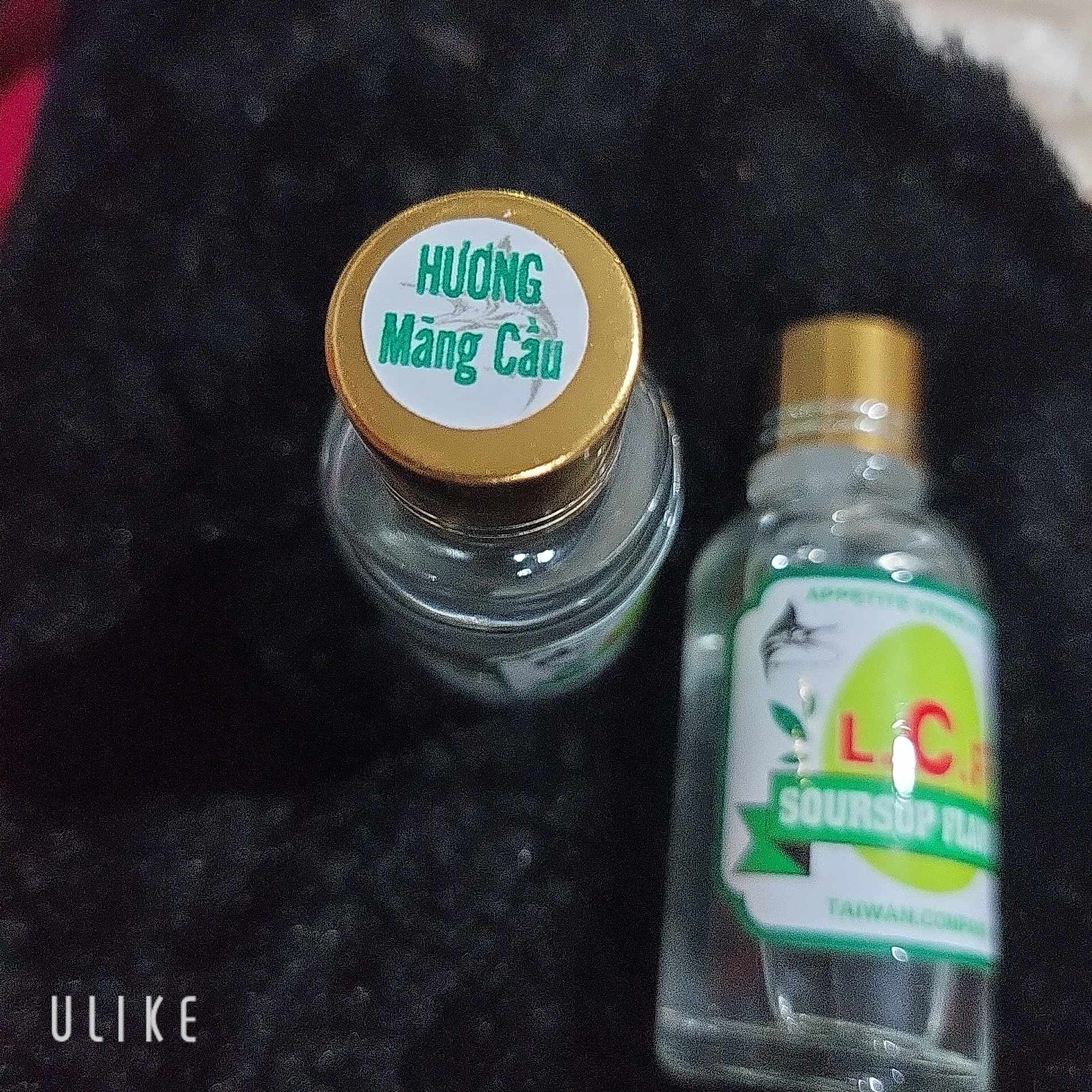 [TINH MÙI] HƯƠNG CÂU CÁ L.C.F hương Mãng Cầu