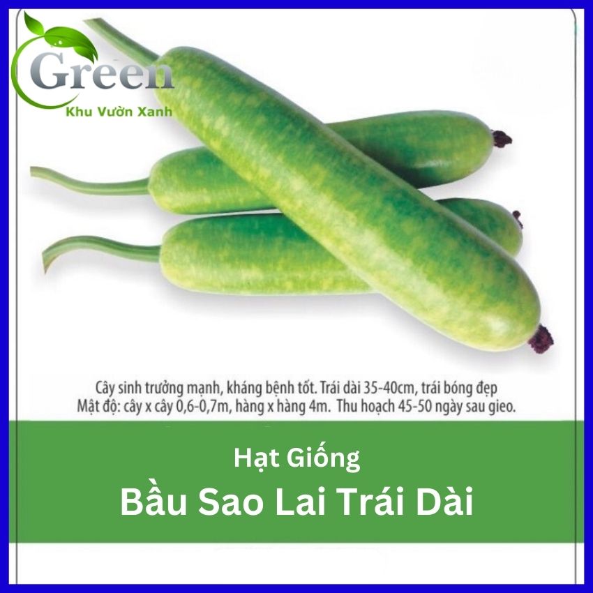 Hạt Giống Bầu Sao Lai F1