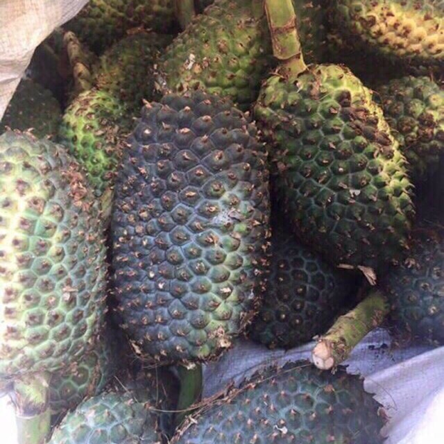 2Kg Dứa Dại