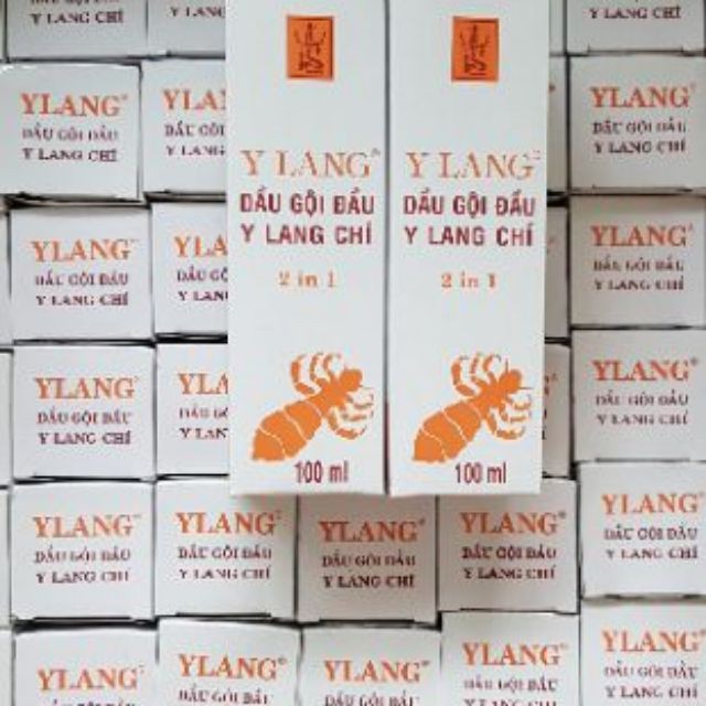 dầu gội chí y lang