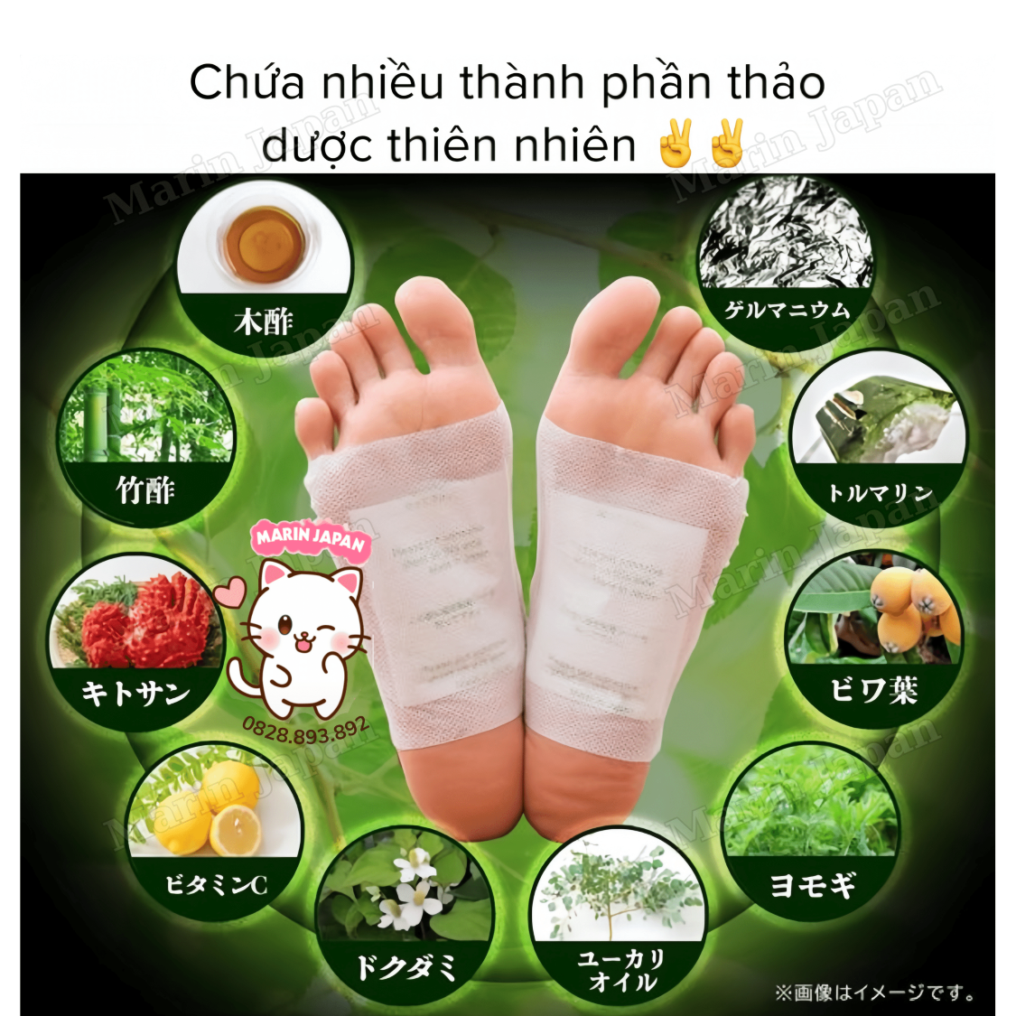 Miếng Dán Thải Độc Chân Kenko Chính Hãng Nhật Bản