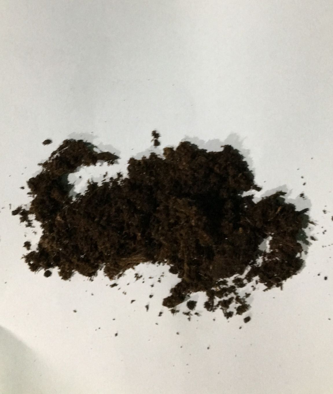 Giá thể Peat moss bao 70 lít