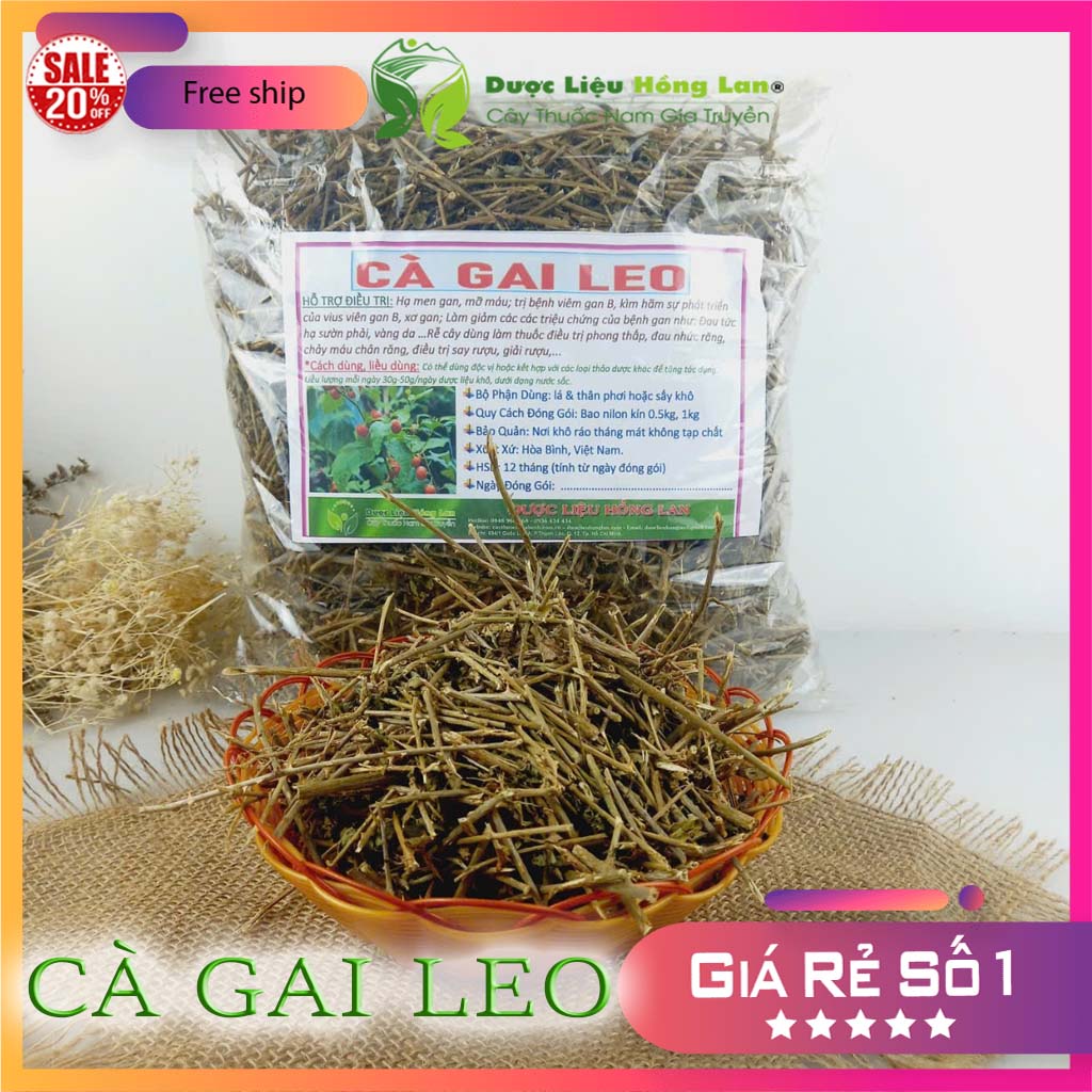 [FreeshipMAX] [HCM]Cây Cà Gai Leo khô 1kg
