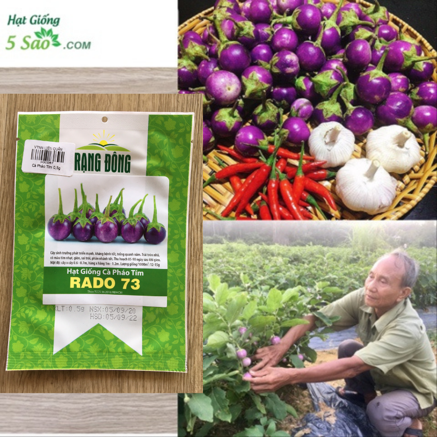 Hạt Giống Cà Tím Cà Pháo Tròn Tím Rd 73 Rạng Đông Gói 0.5Gram