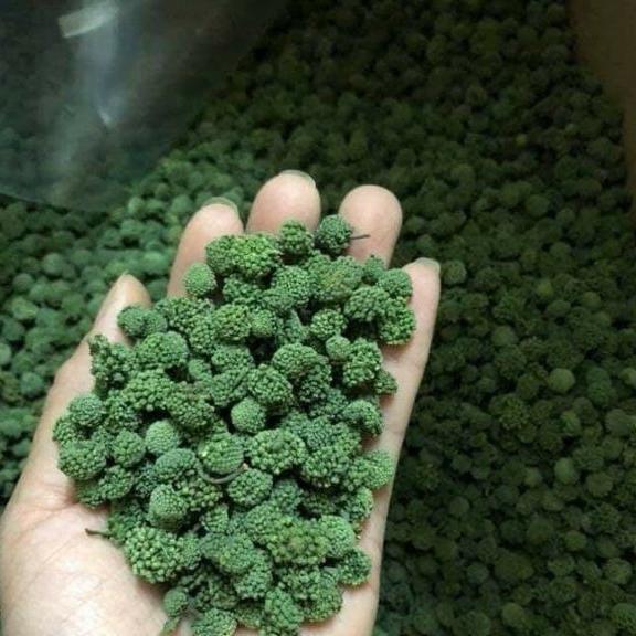 1kg nụ tam thất không cuống