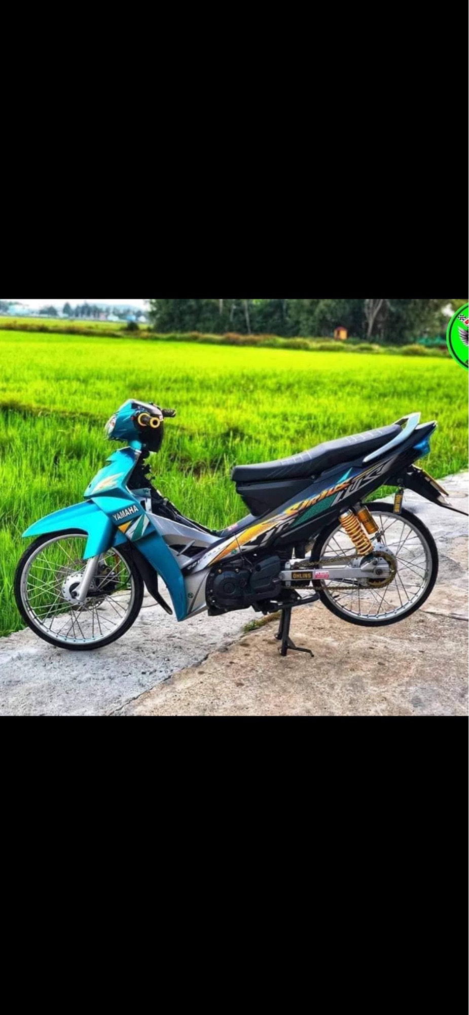Tem rời sirius mẫu hoa văn decal trắng sữa