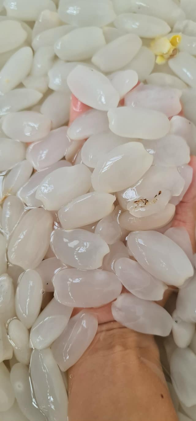 Đác rim thơm món ngon giải nhiệt mùa hè