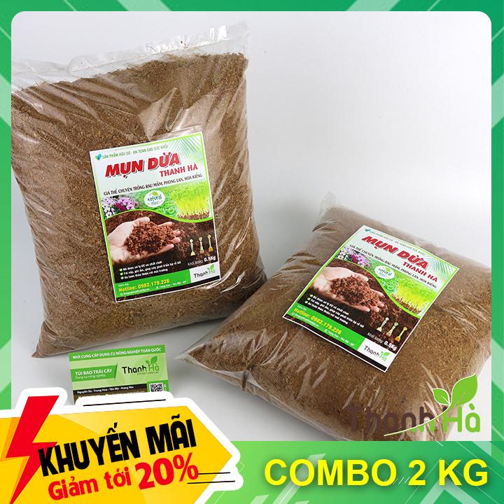 Mụn xơ dừa ươm giống cây trồng.