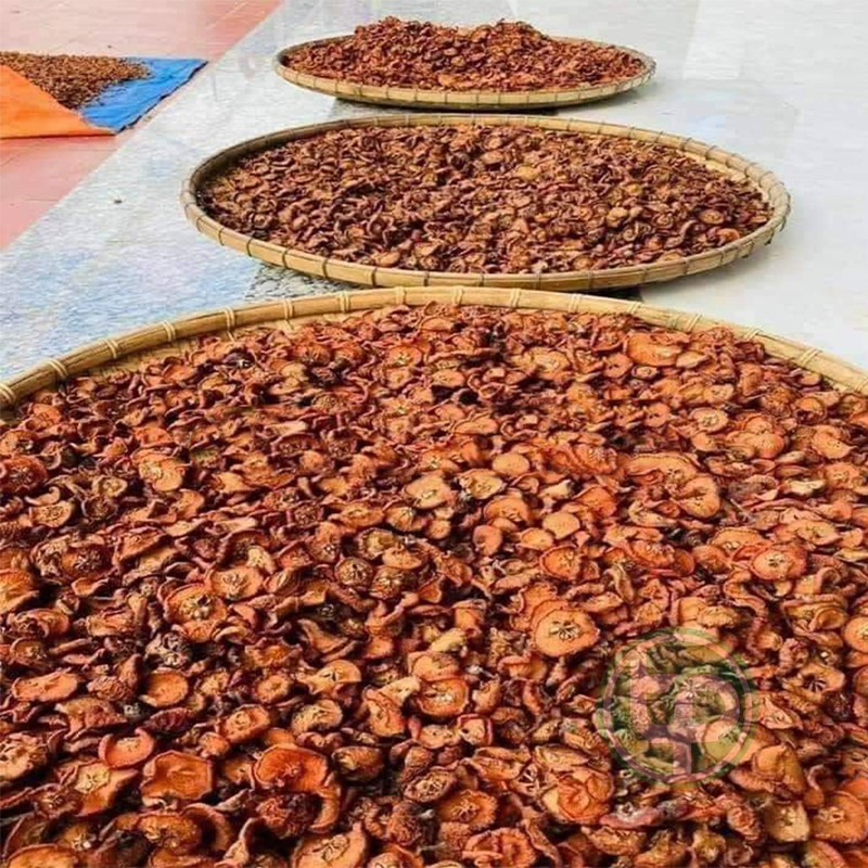 [New Arrivals] Premium Dried Cat Apples 500g - High Quality Company Product
