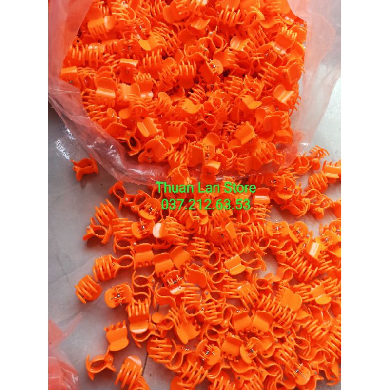 Set 10c Kẹp Bướm Size Đại Dùng Cố Định Lan