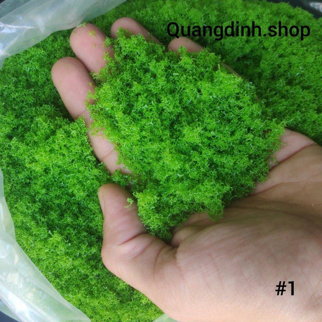 rêu làm mô hình trang trí tiêu cảnh.