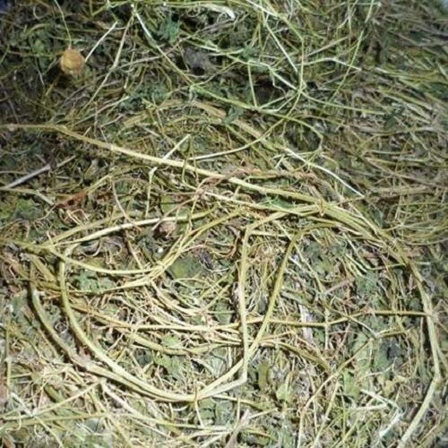 Dây - lá khổ qua rừng khô 500g