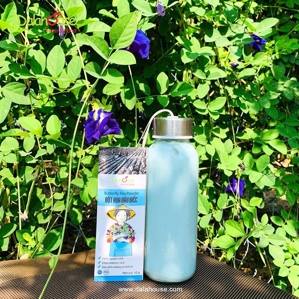 [HCM]BÌNH THỦY TINH ĐỰNG NƯỚC CÓ QUAI XÁCH 300ML