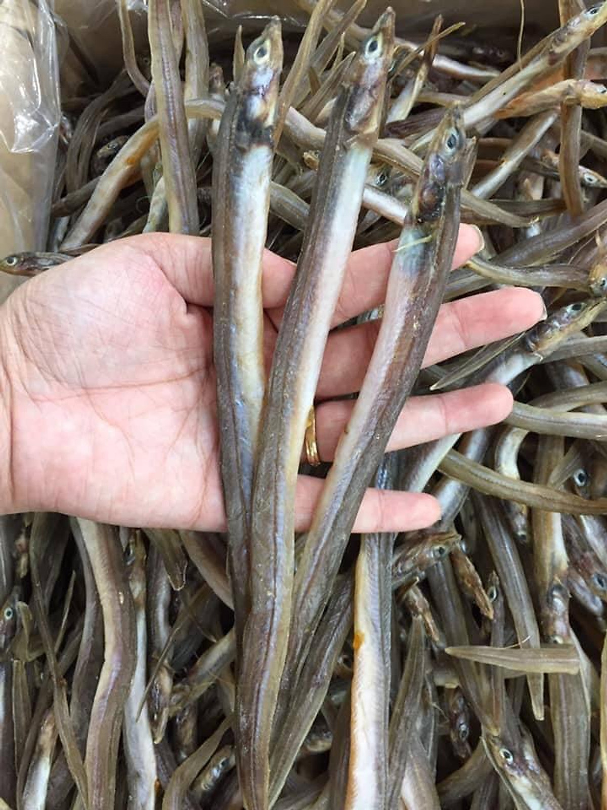 Khô Cá Lãi Trứng - Gói 500G