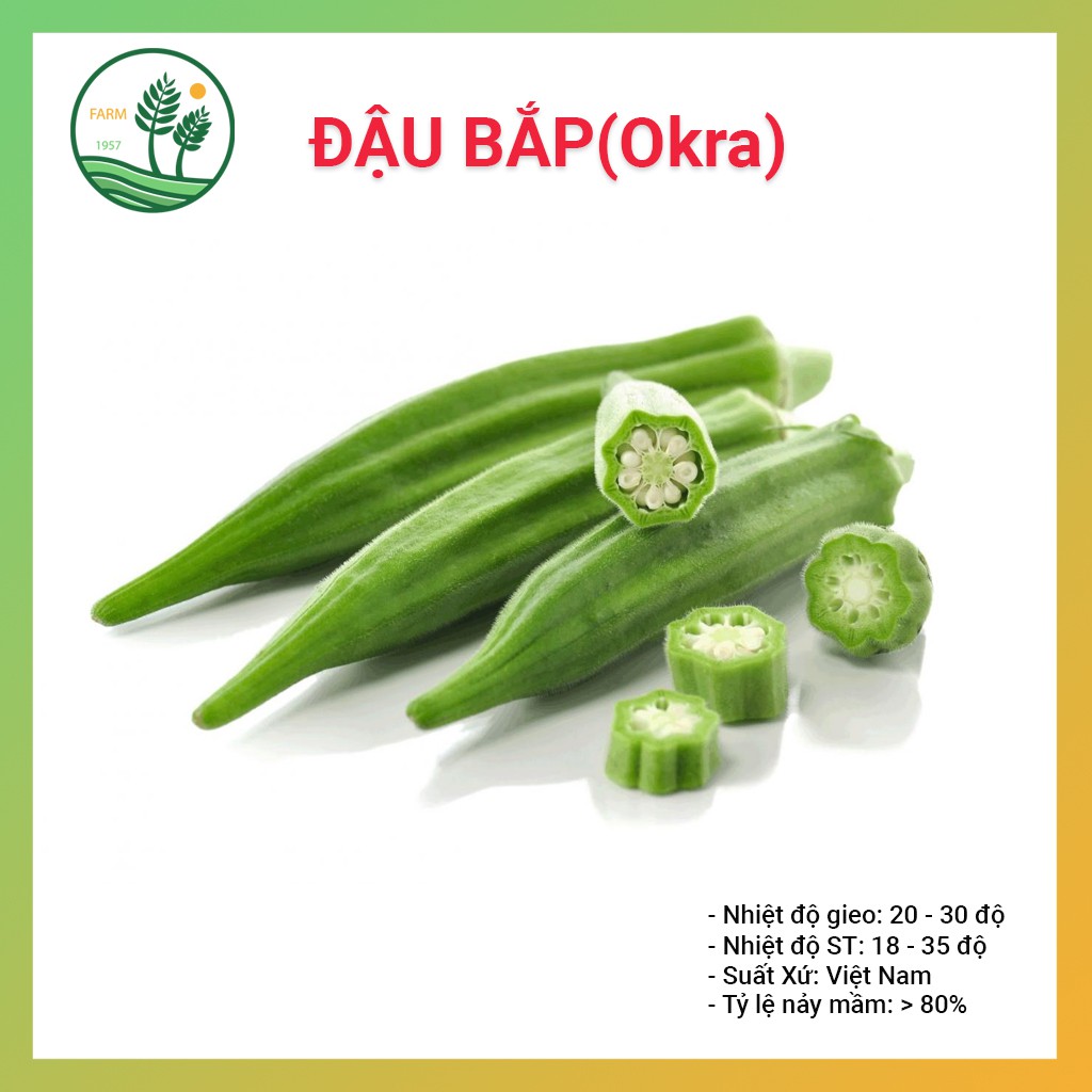 Hạt Giống Đậu Bắp Xanh 50g(Okra)