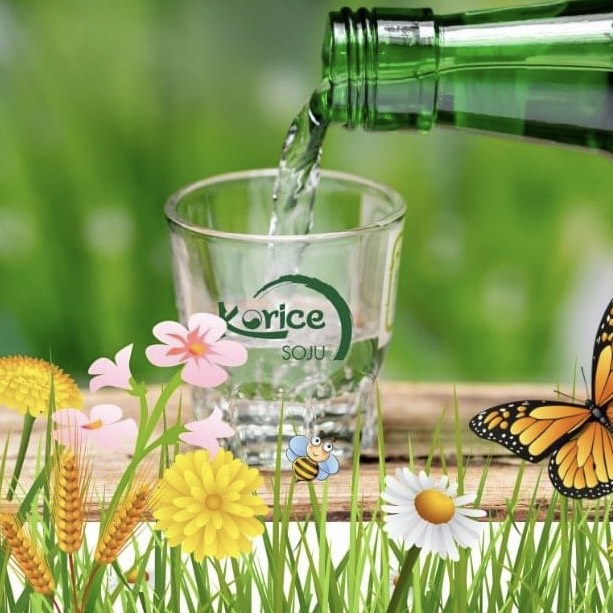 Ly uống rượu soju