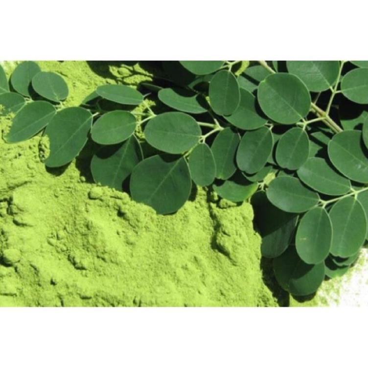 1kg Bột lá Chùm Ngây sấy lạnh