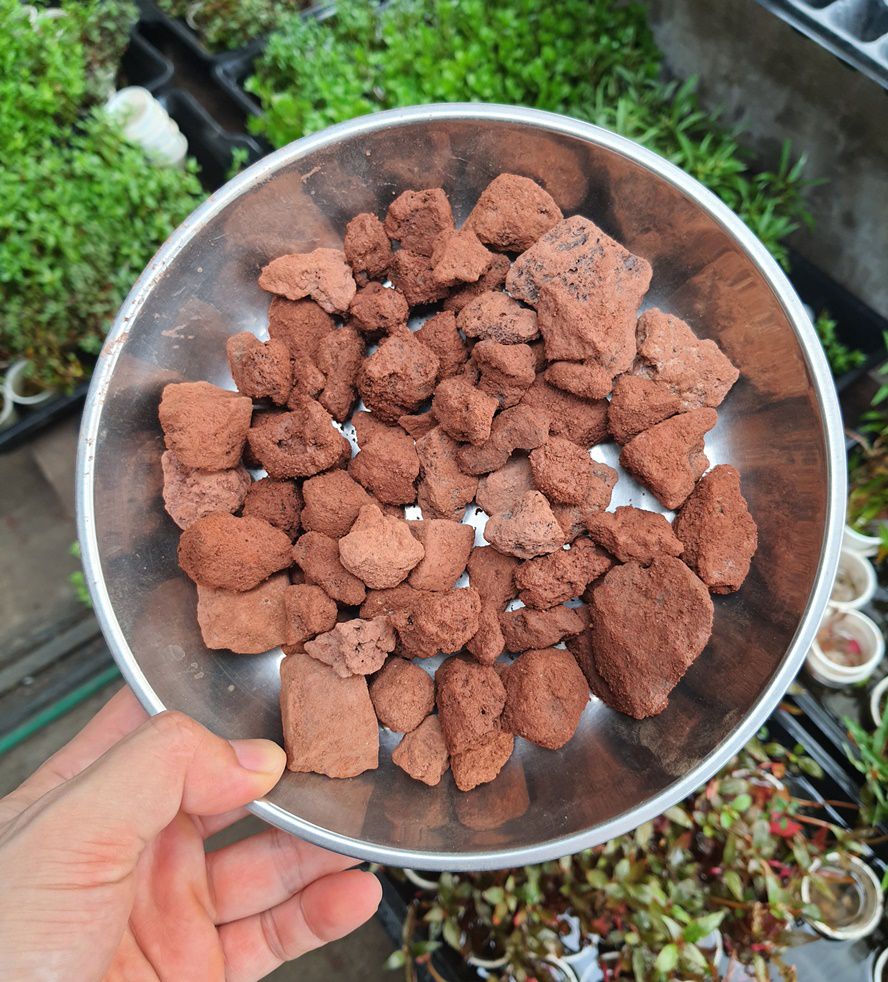 Đá nham thạch gói 1kg, dùng trang trí bể cá và làm vật liệu lọc