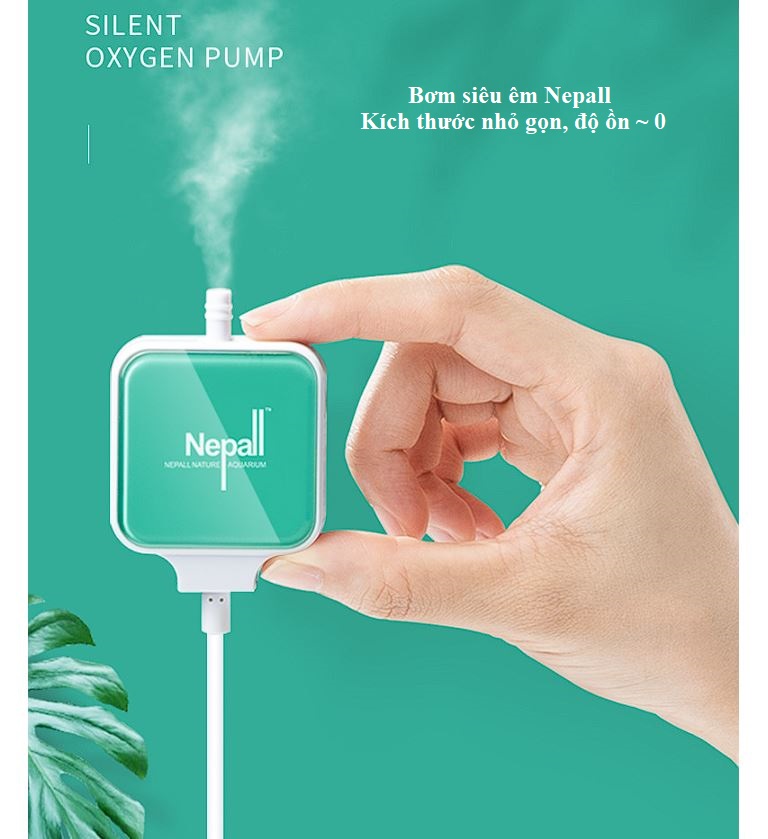 Sủi siêu êm Nepall dùng cho bể cá để phòng ngủ (full đồ)
