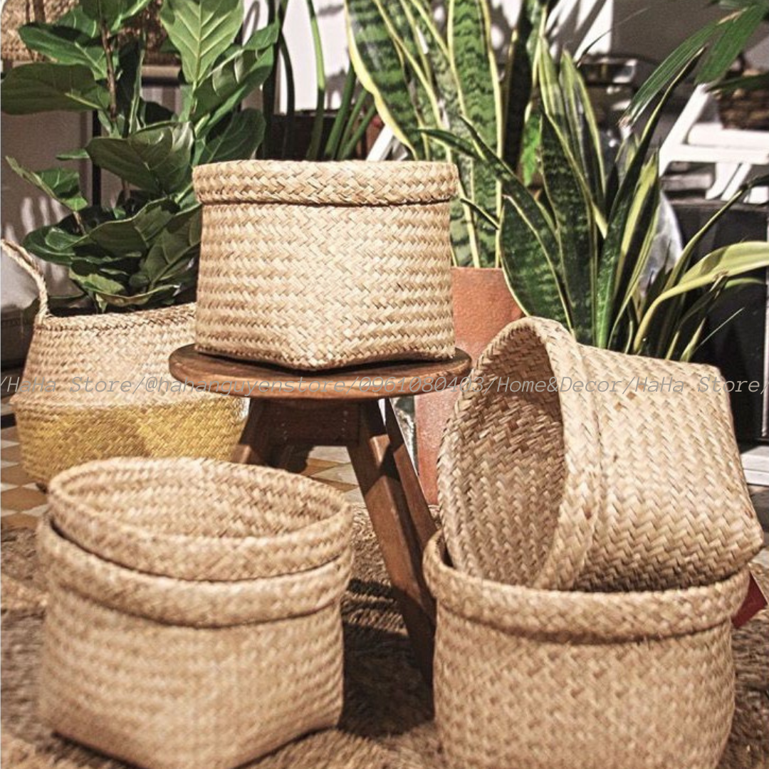 Thúng Cói Trồng Cây Giỏ Cói Decor GCD02-1