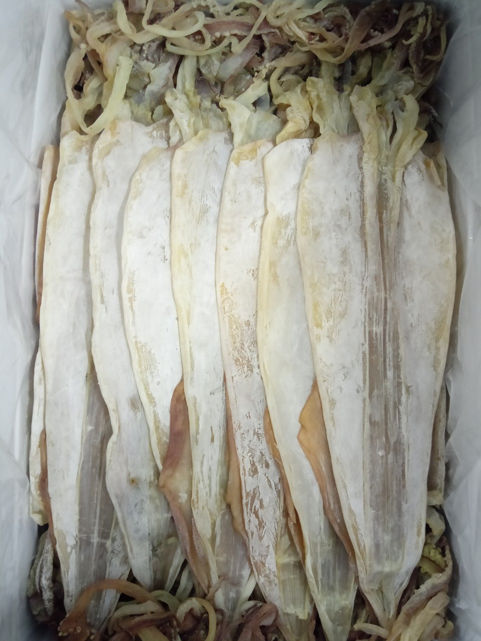 Mực khô loại 1 vân đồn - gói 0.5kg con siêu to, siêu ngon ngọt